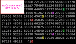 1779803823996.png
