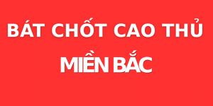 BAT CAO THU.png